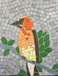 cedar waxwing mosaic